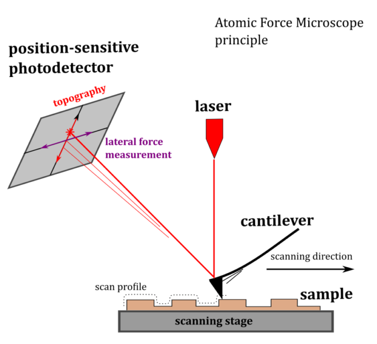 Afm Scanning Modes Max Iv