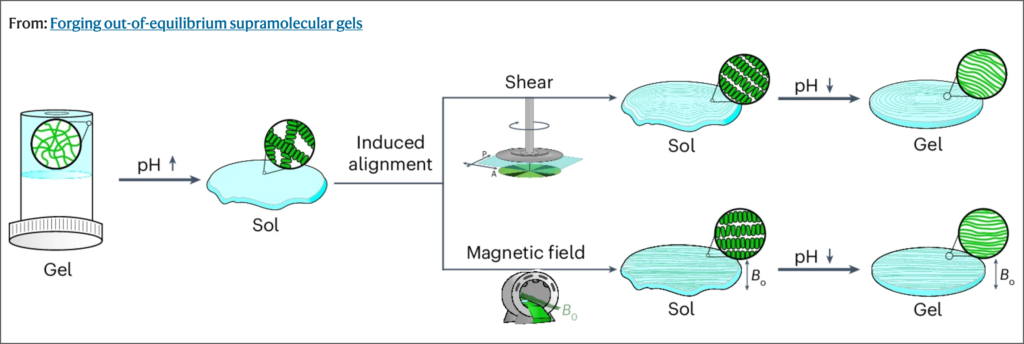 Alignment Supramolgels Univglasgow